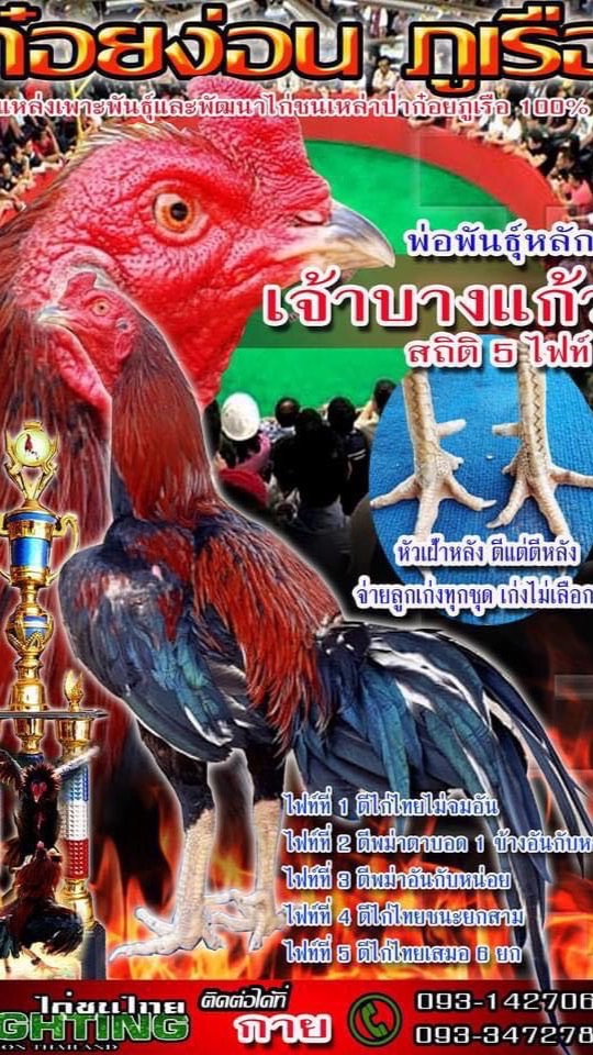 สกายป่าก๋อยตีหลัง