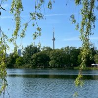 🇨🇦トロントワーホリ民