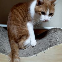 飲酒にメリハリをつけたい〔改〕