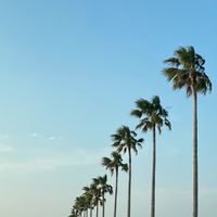 I LOVE 🏩　in 宮崎　宮崎県　癒し