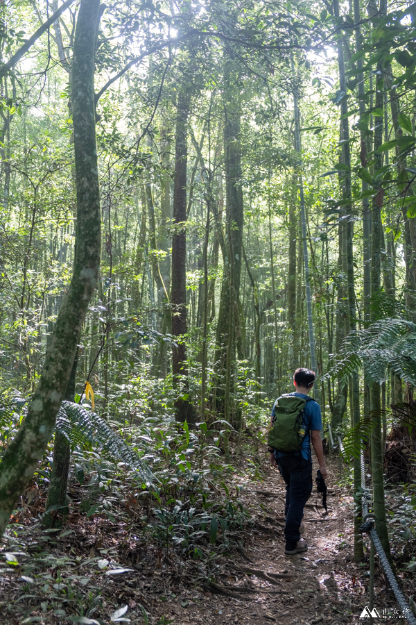 山女孩MelissaxMao冒險生活_水社大山_日月潭登山_路線分享-24.JPG