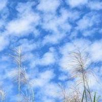 🌹👩元気になる部屋 60代女性🌹(☕️)