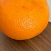 スプラand雑談andいろいろ