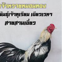 ซุ้ม คำหงษา ฟาร์ม ไก่ชน