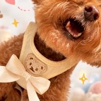 守愛ċ•慾望妞虎追思會之找一終於戴皇冠