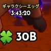 動物に乗る、💻😈レトタワオプ！！