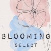 《不定期海外連線》Blooming 流行選品🌼