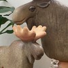 🦆HSS型HSP(HSE)を研究する会