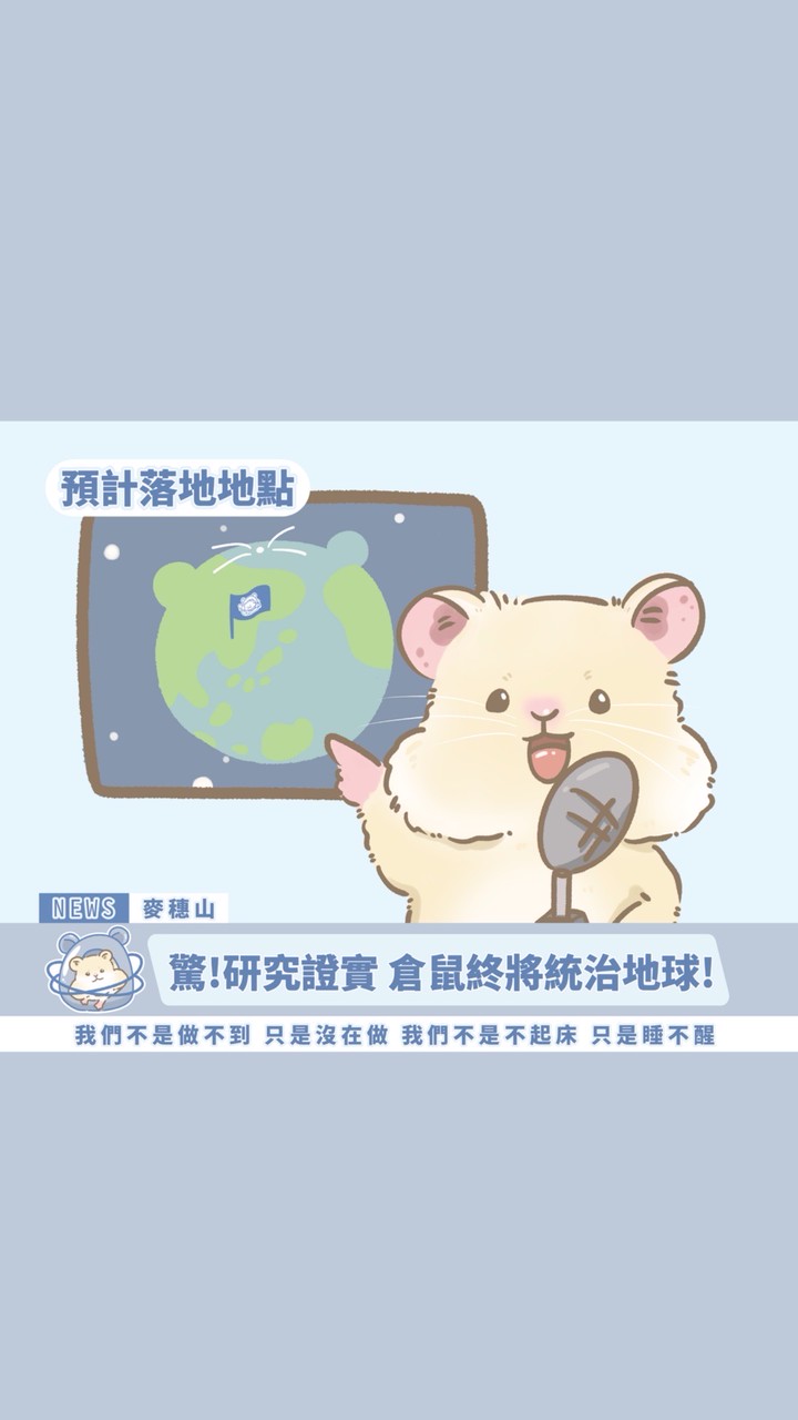 今天也在努力囤糧中-倉鼠、黃金鼠、波利鼠 用品團購