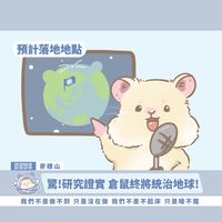今天也在努力囤糧中-倉鼠、黃金鼠、波利鼠 用品團購