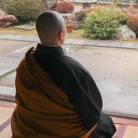 やまだおてらでーのお知らせ
