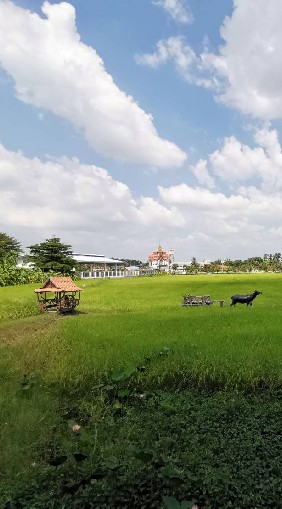 คนรักเกษตรอินทรีปุ๋ยอินทรีย์​ชีวภาพ