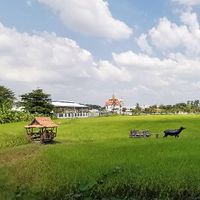 คนรักเกษตรอินทรีปุ๋ยอินทรีย์​ชีวภาพ