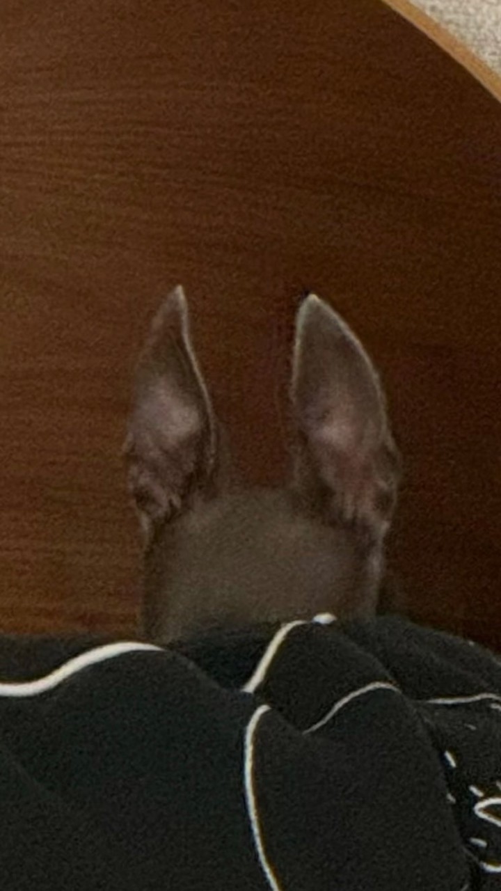 𝗮𝗻𝗮𝗻𝘅𝘂𝘂韓國代購🇰🇷