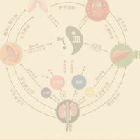ศูนย์รวมข้อมูลอบรมแพทย์จีน​ 中医培训资源中心