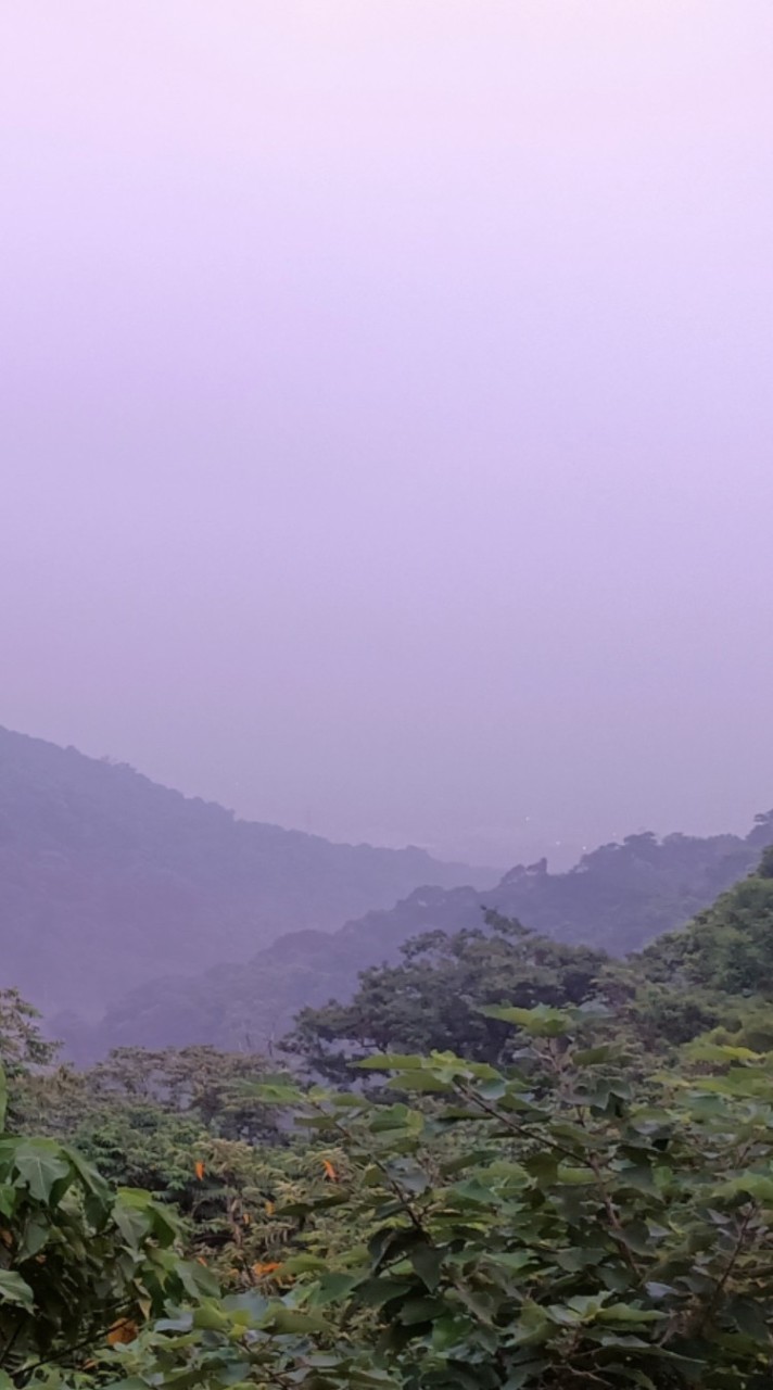 員林百果山步道群