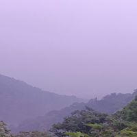 員林百果山步道群