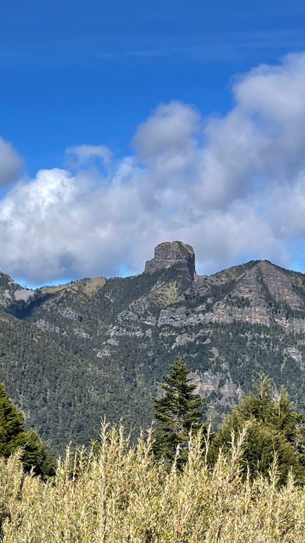 🐨熊麻吉⛰️自組活動群