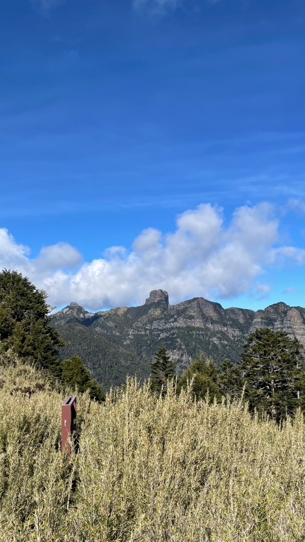 🐨熊麻吉⛰️自組活動群