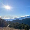 🐨熊麻吉🏔️自組登山群