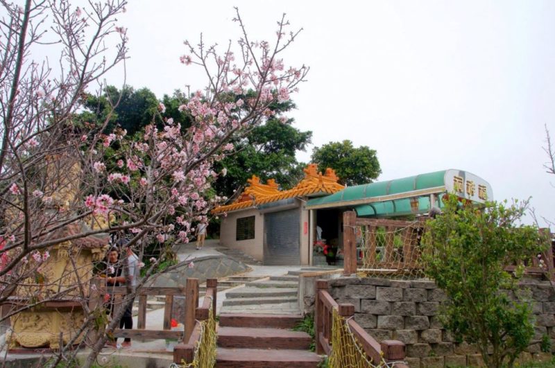 嶺頂步道｜苗栗步道,背山面海,嶺頂瞭望台,嶺頂土地公步道,苗栗景點,360望海步道,苗栗好望角