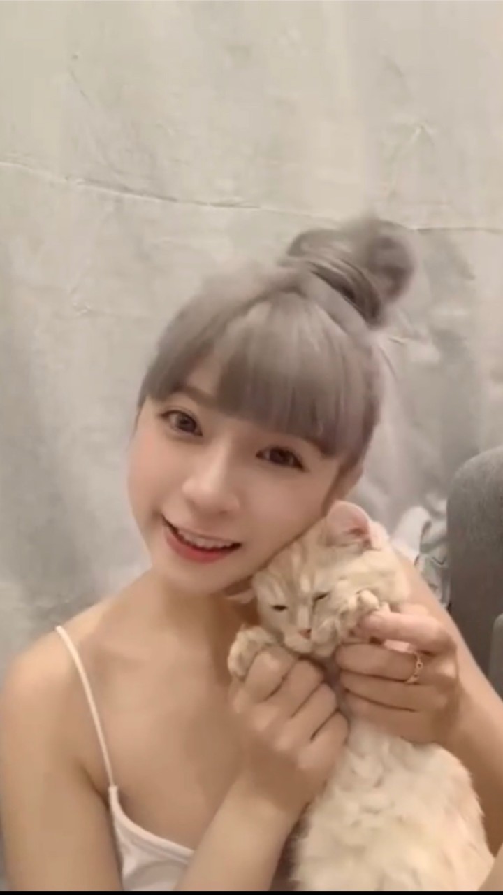 演狗《黛西粉絲群》