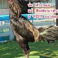 ก.ร่มโพธิ์ทอง ฟาร์ม