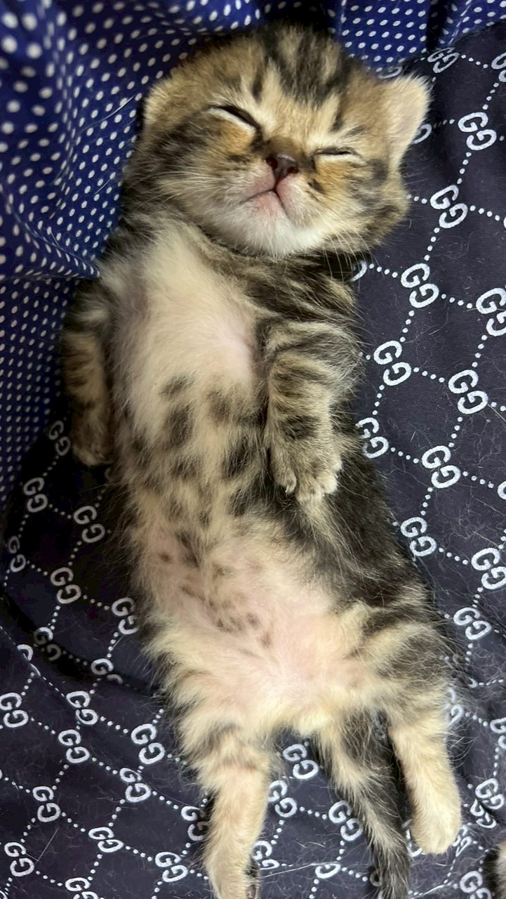 เฉพาะสั่งสินค้า เจ๊กันย์ ดอนเมือง