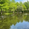 梅花旅遊社群