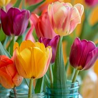 🌷愛知🌷50代⭐平日休みを楽しもう🎵