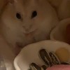 不眠症な夜に、話しませんか?