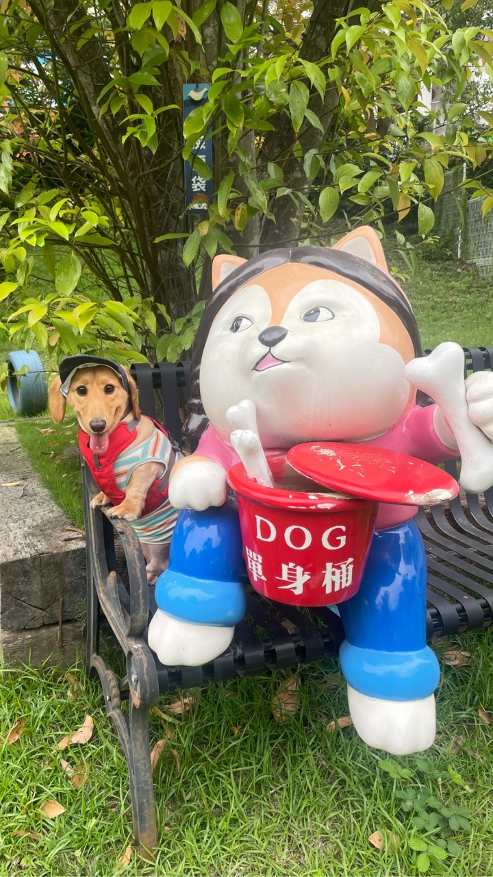 Jimmy私人商鋪