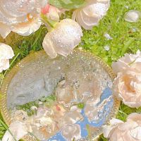 ♡糖霜知心家園♡