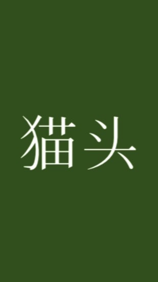 王一博💚🏍🐈‍⬛