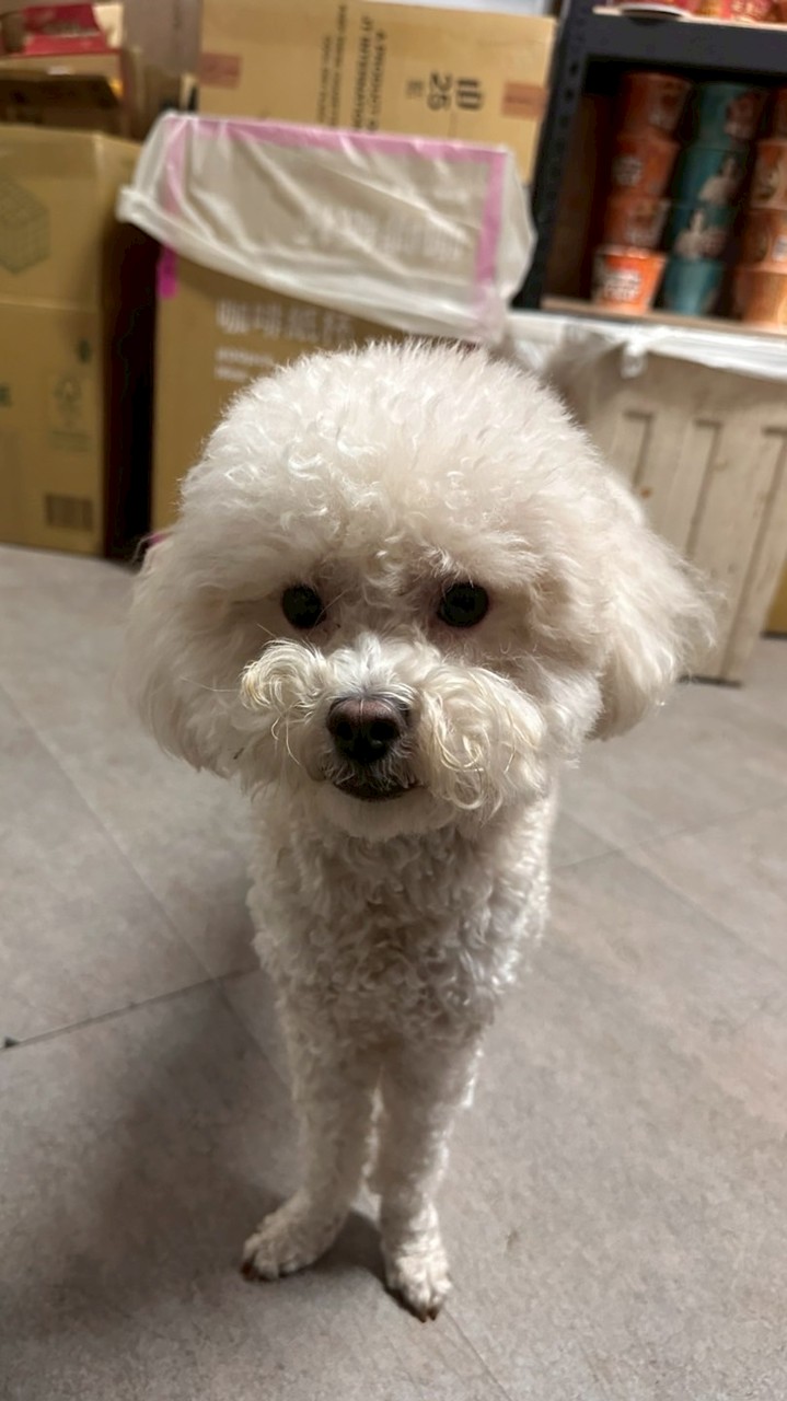 許李元寶