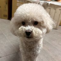 許李元寶