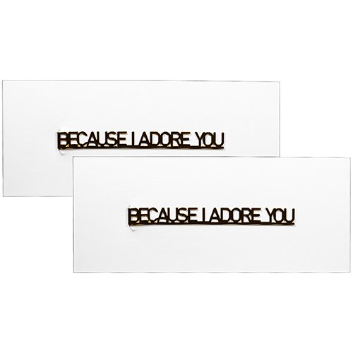 Dior 迪奧 寵愛書籤*2