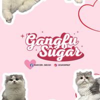GangfuSugar ﾉ彡☆