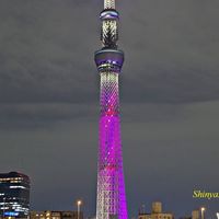 錦糸町地域でどうでしょう会