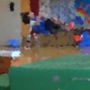 かながわ学びの会（神奈川県・学びの共同体）