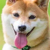 太鼓投げ合い ※匿名可