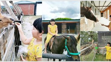 【花蓮景點】花蓮洄瀾灣開心農場，騎馬體驗，還有多種動物餵食，還有最美貨櫃星巴克