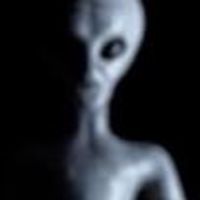 外星人超市代購優惠區