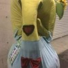 真っ赤な嘘*三次元限定緩也