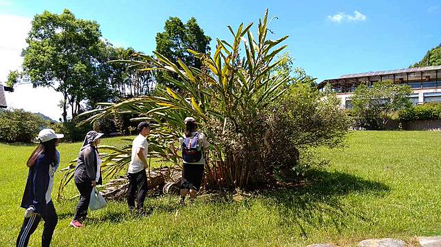 池南國家森林遊樂區 月槌越香 嚐月桃好滋味5 18開始報名 野旅行 Line Today