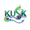 Kusk FF E-sport