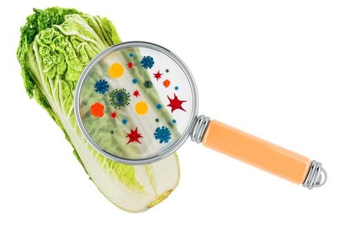 葉に黒や茶色い斑点がでているのは腐る寸前 それとももう腐ってる 覚えておくべき 腐った白菜の見分け方 とは オリーブオイルをひとまわしニュース