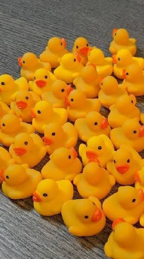 たのしいひよこぐみ