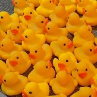 たのしいひよこぐみ