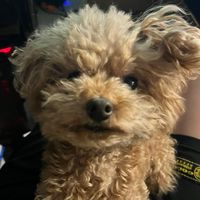 サービス管理責任者の集い